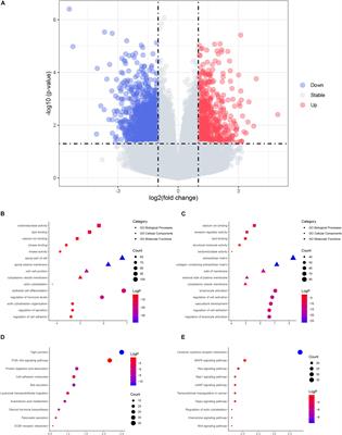 Molecular Characteristics of Choledochal Cysts in Children: Transcriptome Sequencing